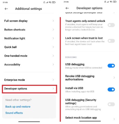 Developer mode settings.